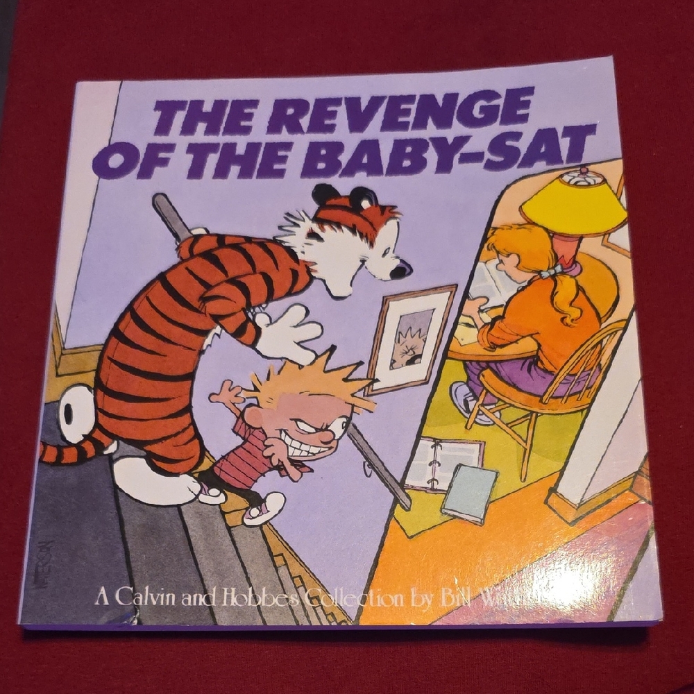 The Revenge of the Baby-Sat Book